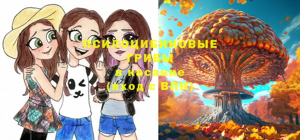 синтетический гашиш Каменск-Шахтинский