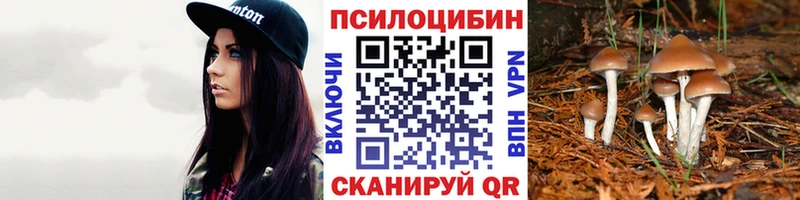 Купить где  Кушва  Псилоцибиновые грибы мухоморы 